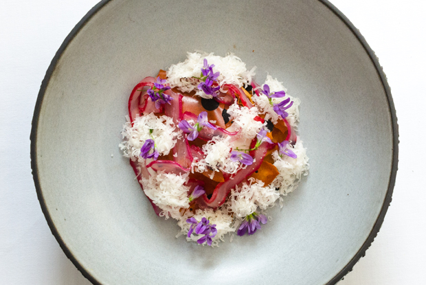 Central-LATAM-2018-DISH2